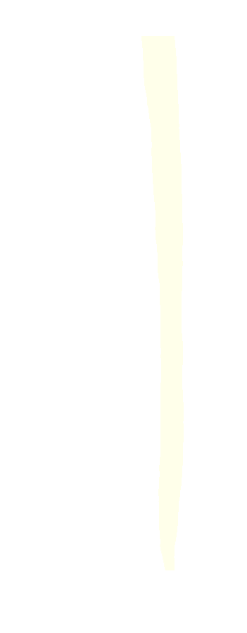 Medial Surface