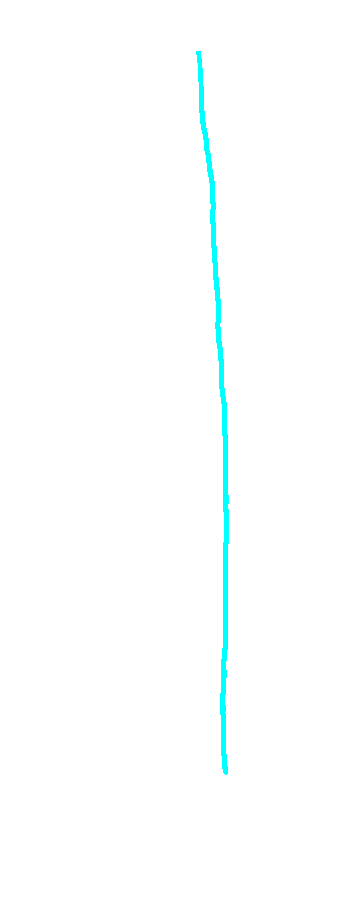 Posterior Border