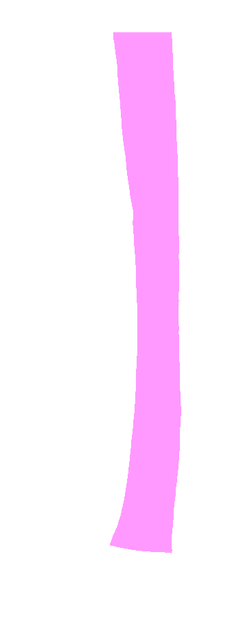 Shaft