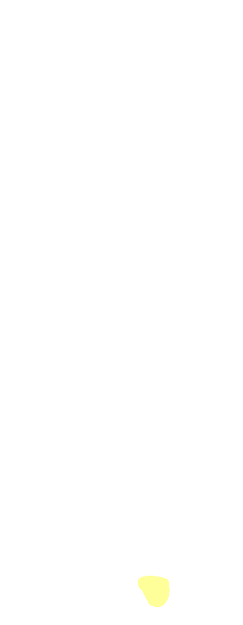 Styloid Process