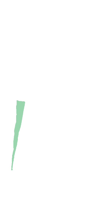 Supinator Crest