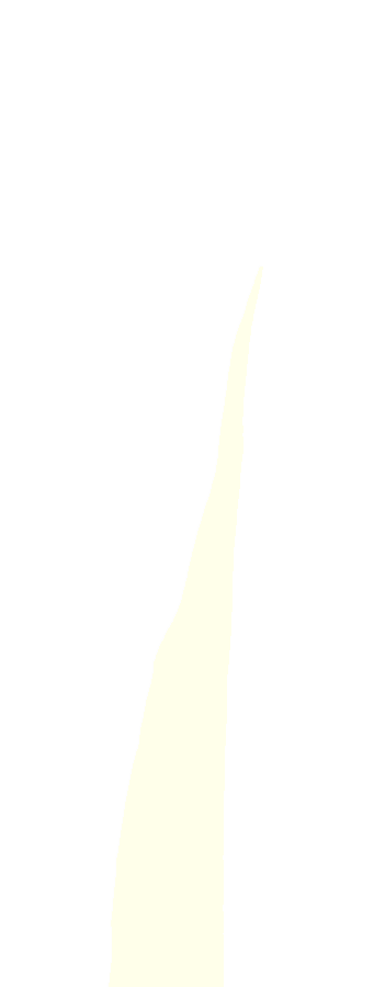 Medial Surface