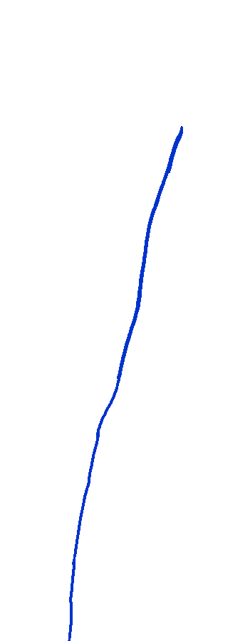 Posterior Border