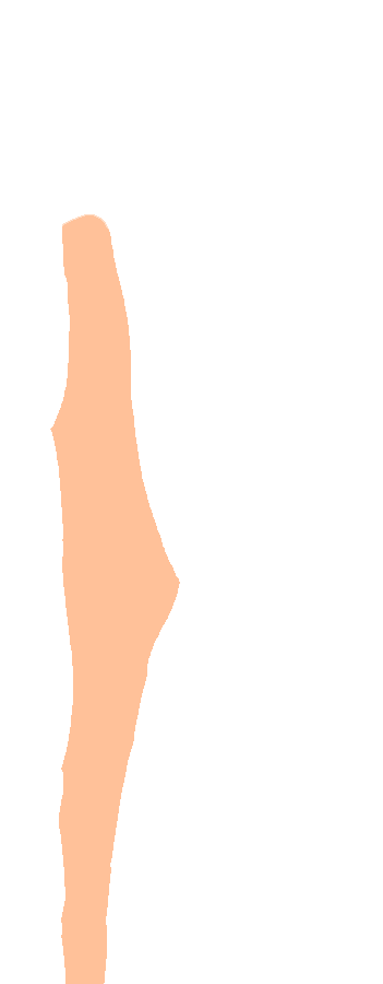 Posterior Surface