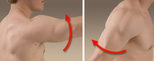 Upper Extremities Movements