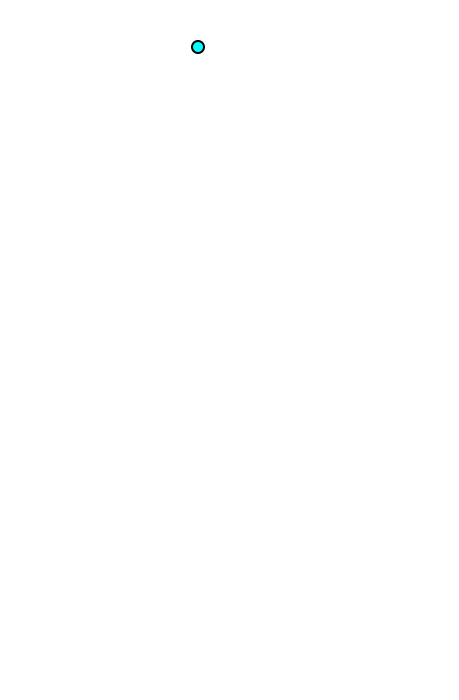 triceps brachii