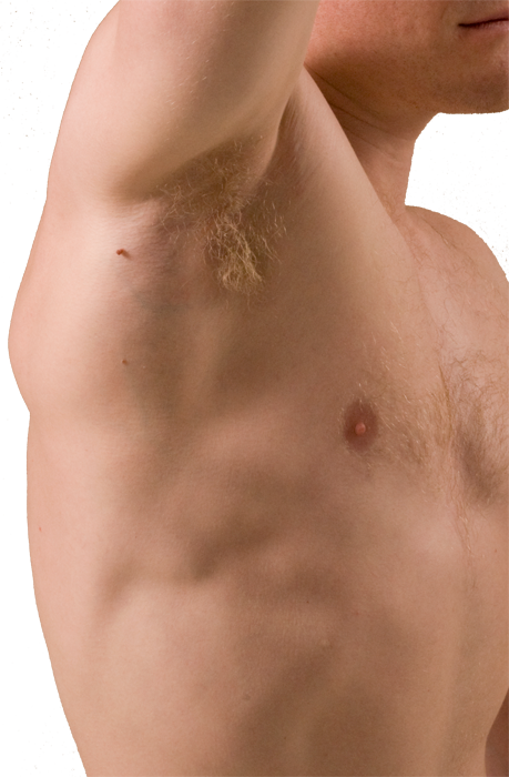 Surface Landmarks