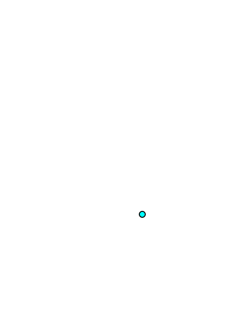 Inferior angle of scapula