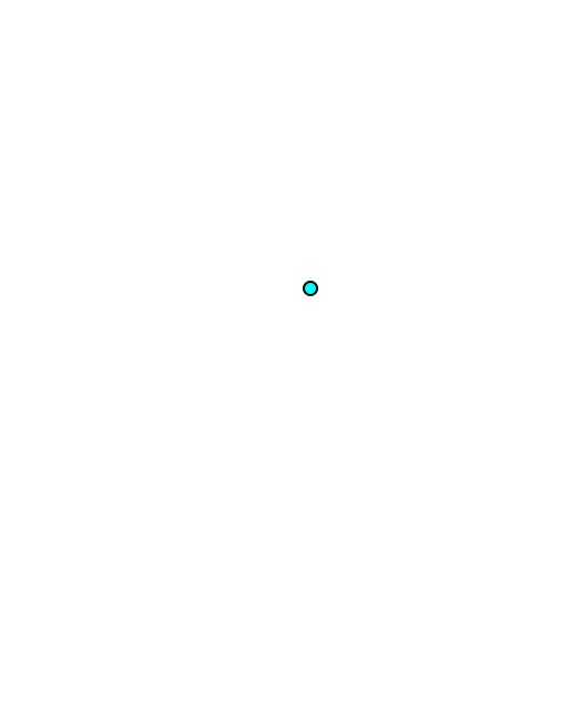 Infraspinatus
