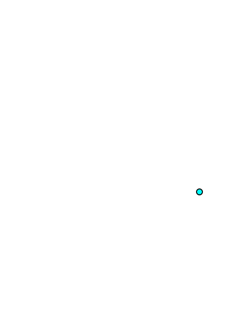 Long head of triceps brachii