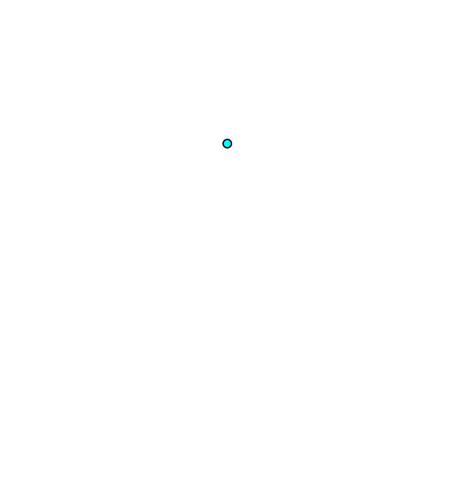 Styloid process of radius
