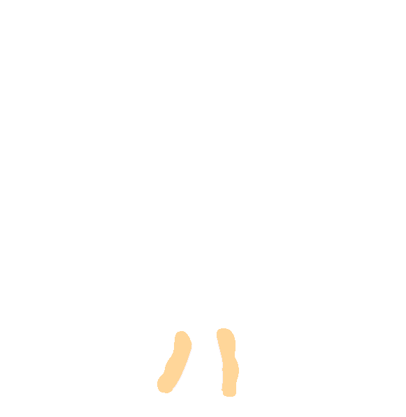 Sacral Cornu