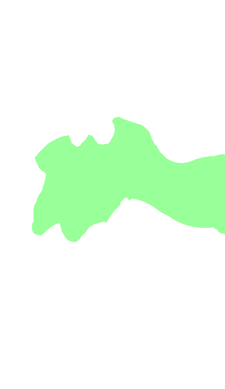 C4 Vertebra