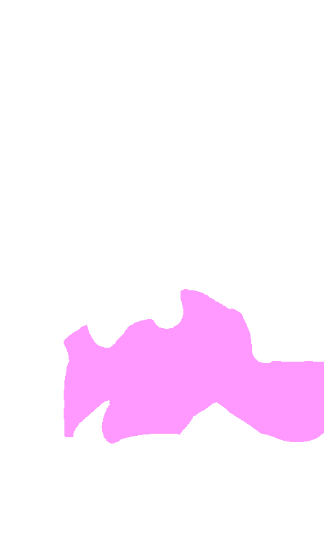 C5 Vertebra