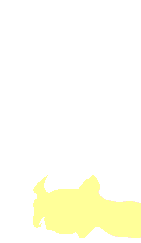 C6 Vertebra