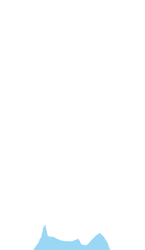 C7 Vertebra