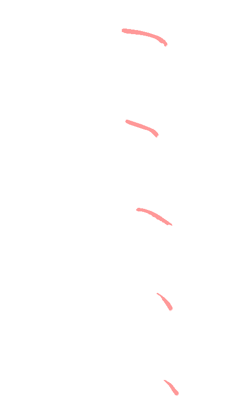 Uncovertebral Joints