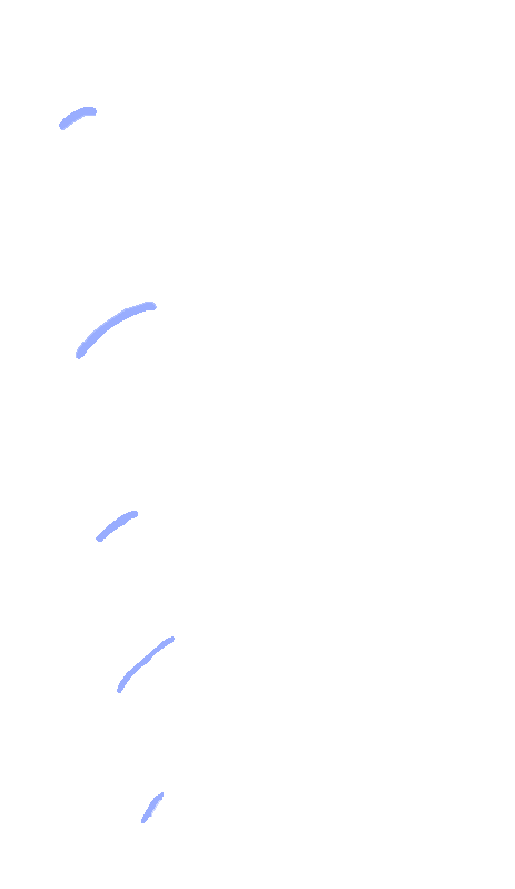 Zygapophyseal Joints
