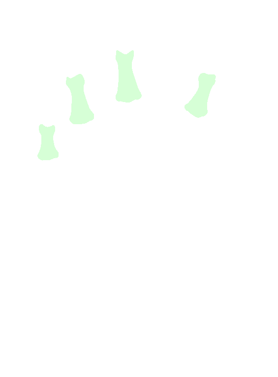 Middle