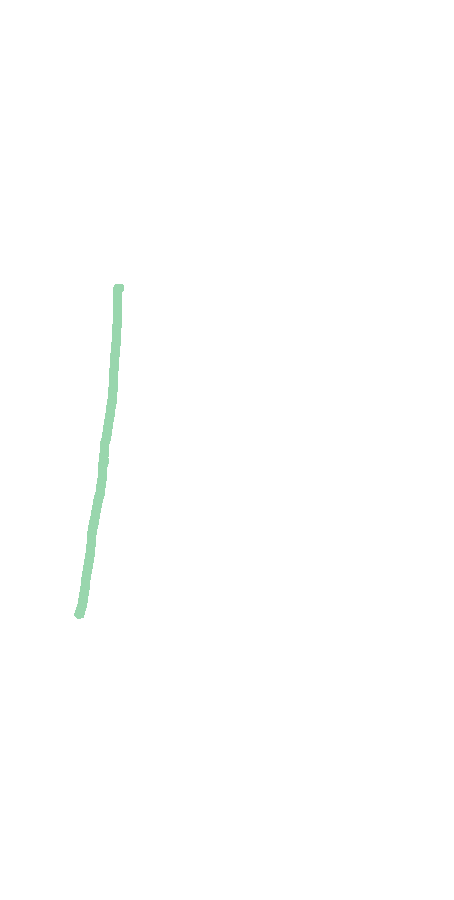 Lateral Supracondylar Ridge