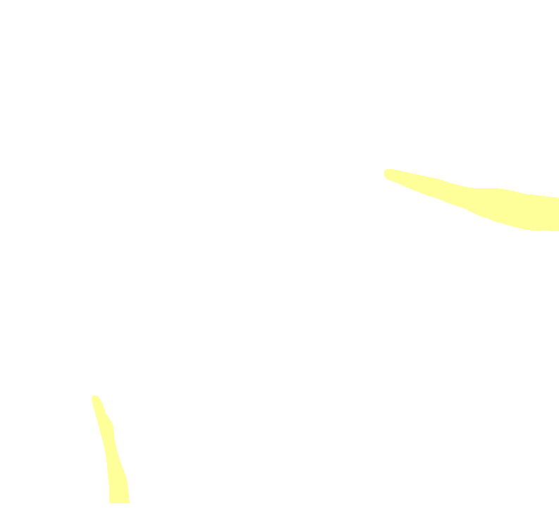 Pectoralis Major