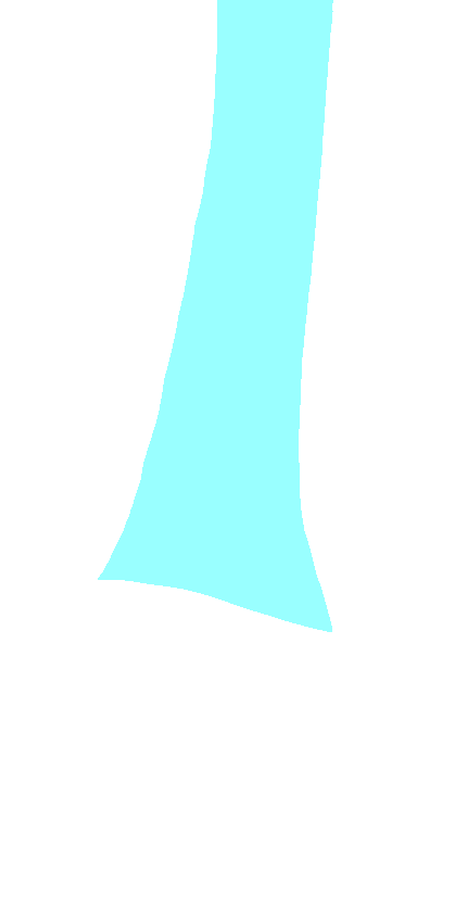 Shaft