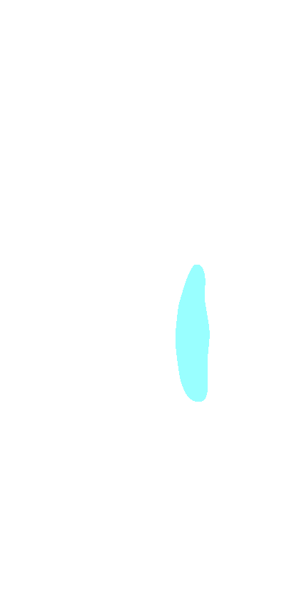 Dorsal Tubercle