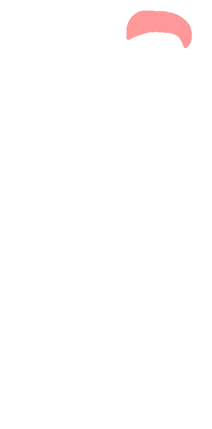 Head