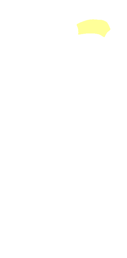 Neck