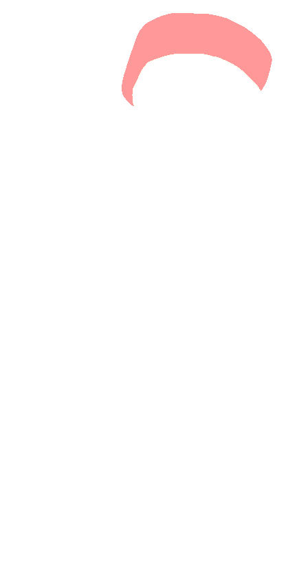 Head