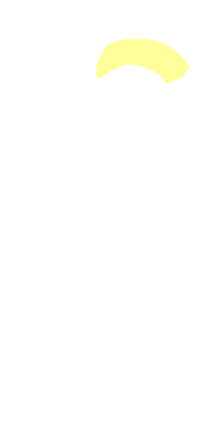 Neck