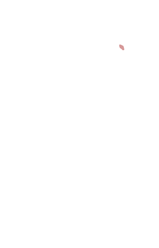 Supraglenoid Tubercle