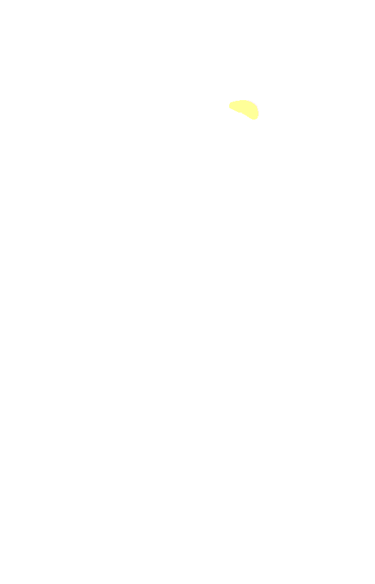 Supraglenoid Tubercle