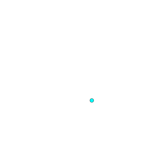Pulmonary Area