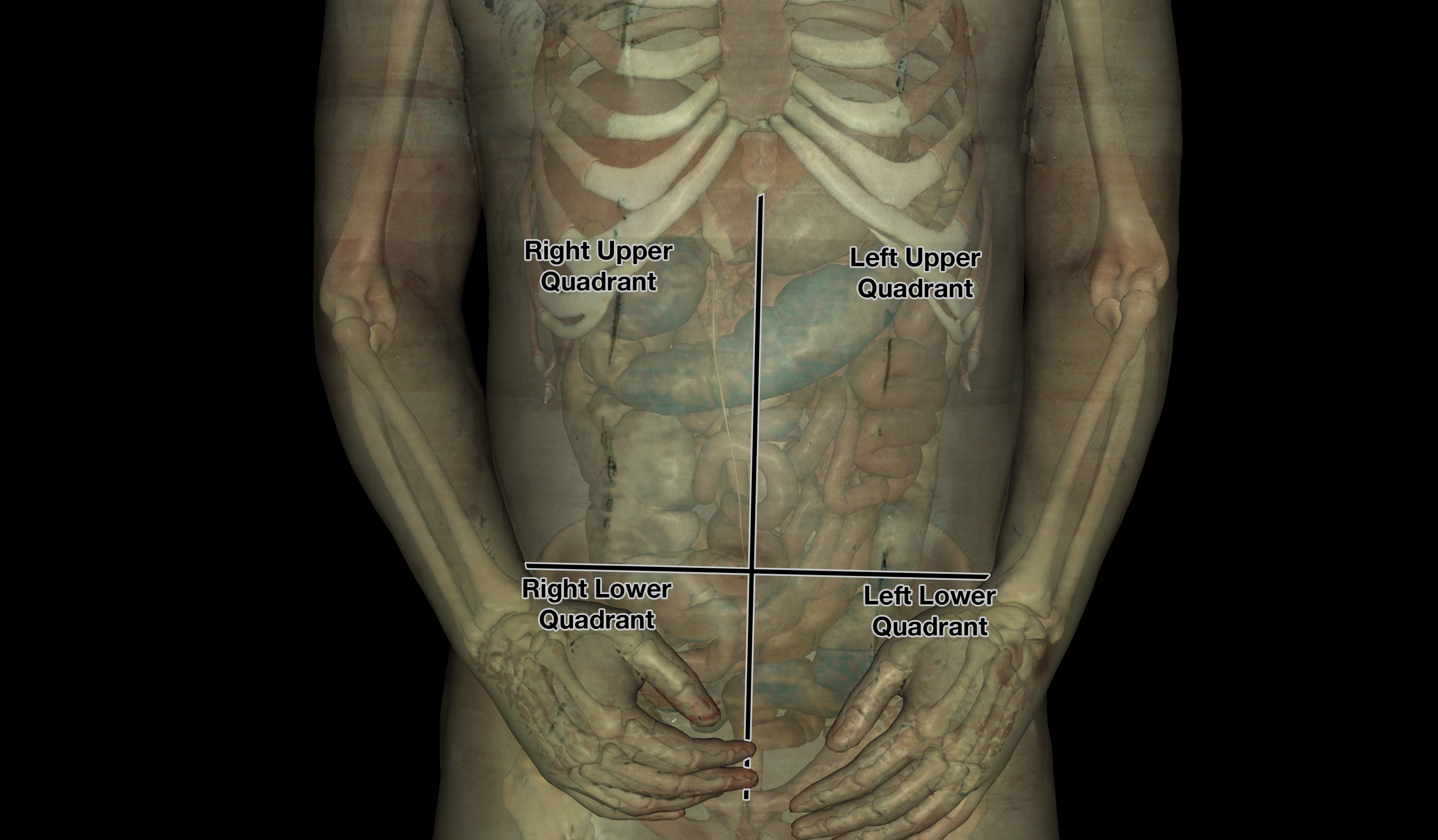 Abdominal Quadrants