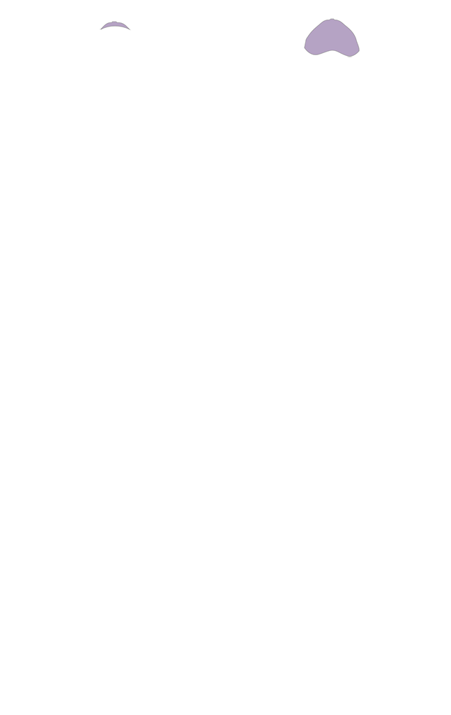 C2