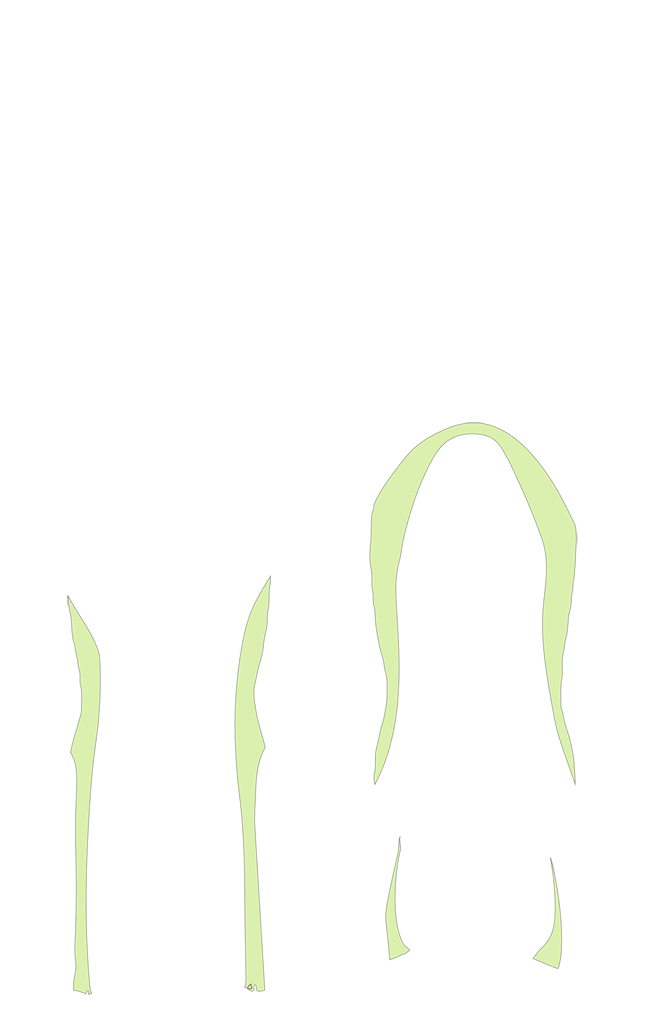 L5