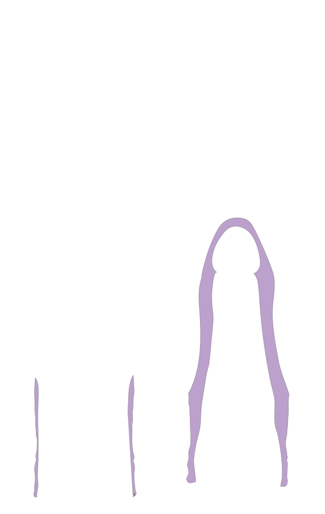 S1