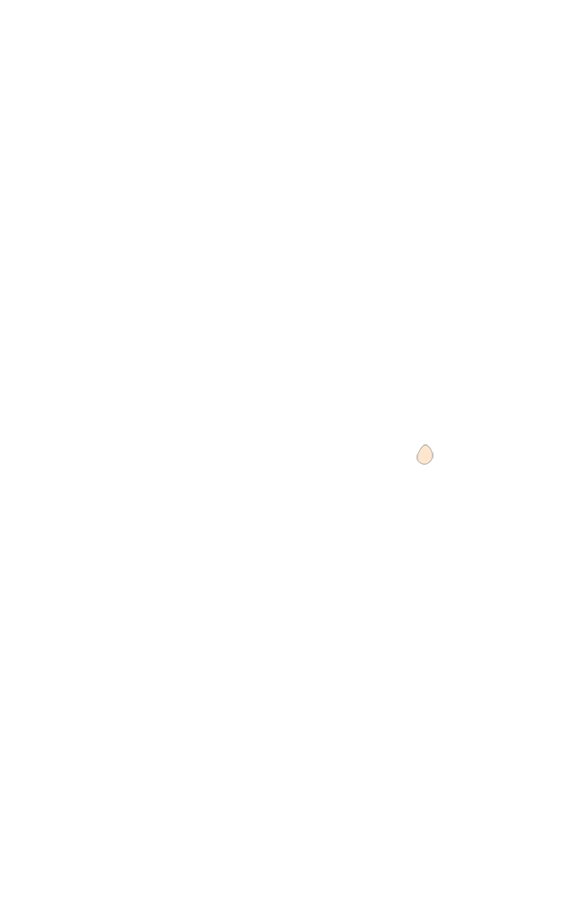S4