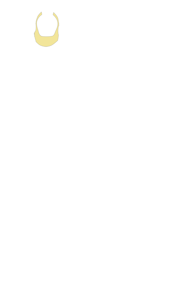 V3